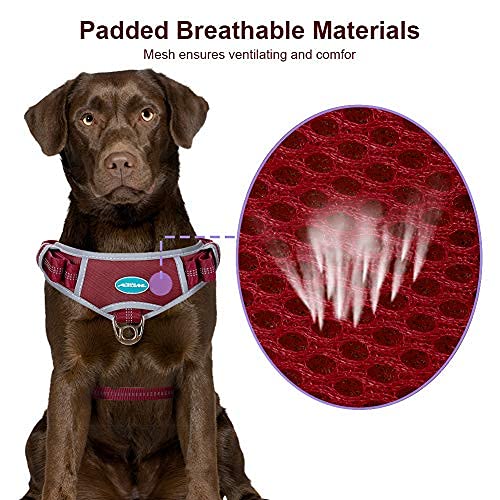 ThinkPet No Pull Hundegeschirr Breathable Sport Harness - Escape Proof/Quick Fit Reflective Padded Dog Safety Vest with Handle Back/Front Clips, Easy for Walking Training S(Chest:51—62cm,Neck:32—47cm) Red - PawsPlanet Australia