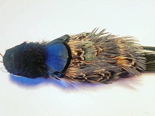 TIGA Toys Bettie Blacky bird cat toy feather teaser - PawsPlanet Australia