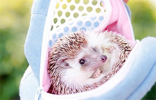 [Australia] - Yosoo Portable African Hedgehog Hamster Breathable Pet Dog Carrier Bags Handbags Puppy Cat Travel Backpack S White Mesh - Blue 