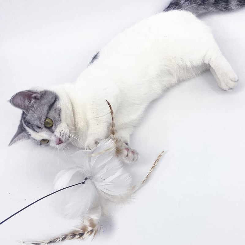 Cat Toy Long Stick Funny cat Stick Powerful Suction Cup Interactive cat Feather Toy Bird Feather cat Toy Indoor cat Play Chase Practice - PawsPlanet Australia