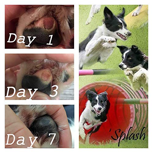 Paw and Nose Rescue Balm - Fast relief for sore, dry & cracked paws & noses - PawsPlanet Australia