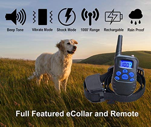 [Australia] - Just 4 Paws Rechargeable & Waterproof Dog Training Collar with Beep, Vibration and Shock - Helps You to Stop Your Dog's Misbehavior 