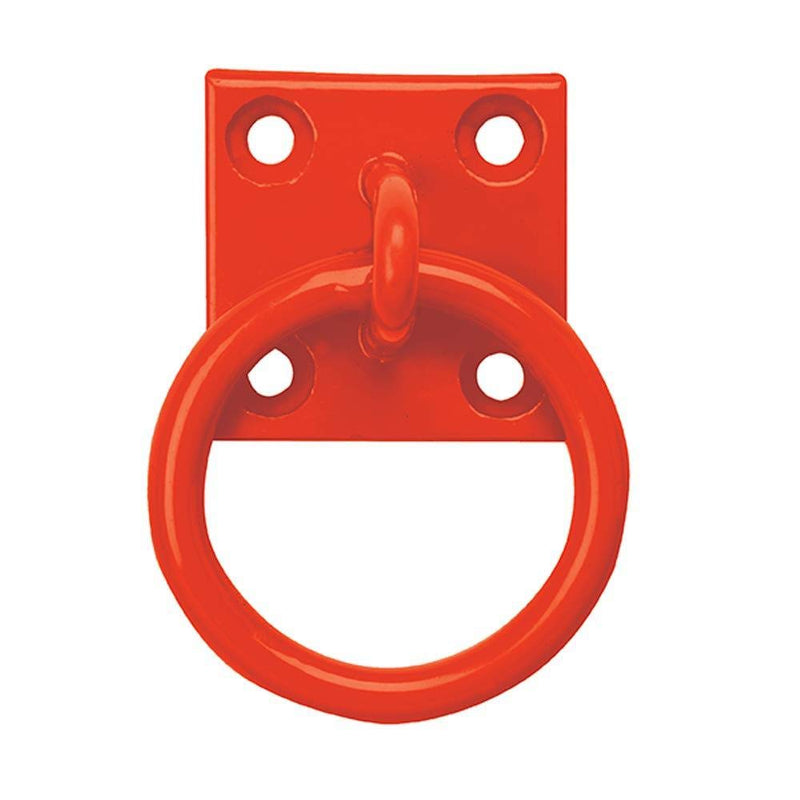 Perry Equestrian Coloured Tie Ring on 50mm Plate Stable Horse Pony Tie Up Ring (Galvanised) Galvanised - PawsPlanet Australia