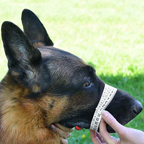 [Australia] - BronzeDog Wire Basket Dog Muzzle German Shepherd Metal Leather Adjustable L 