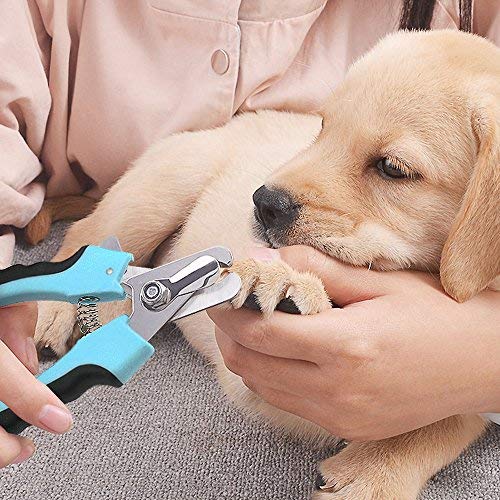 CCR YAZEMKEL Dog Nail Clippers - Professional with Protective Guard, Safety Lock and Free Nail File - Ideal for Medium and Large Breeds - PawsPlanet Australia