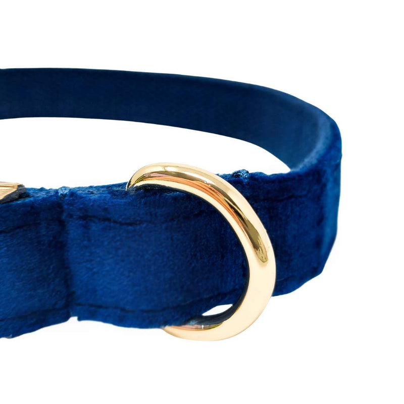 Animal Outfitters UK Velvet Collection Vegan | Blue and Gold Dog | Puppy Collar | Adjustable for Small or Large Dogs (Medium) Medium - PawsPlanet Australia