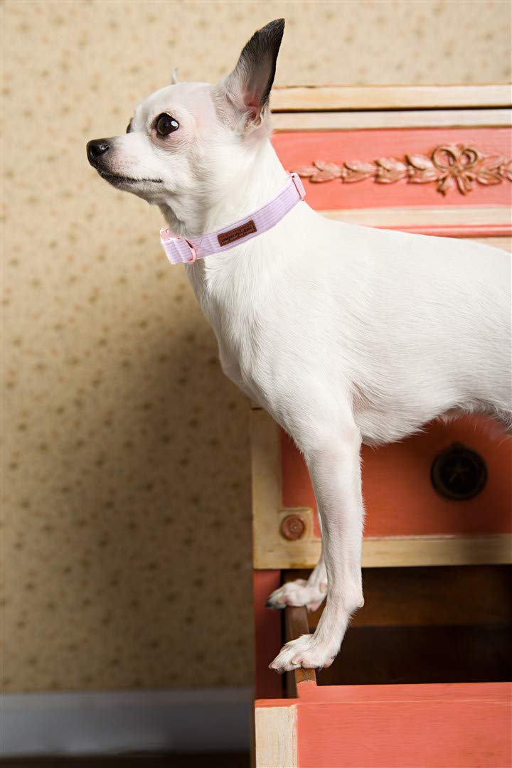 Unique Style Paws Pet Soft &Comfy Bowtie Dog Collar and Cat Collar Pet Gift for Dogs and Cats 6 Size and 7 Patterns XX-Small Pink Stripe - PawsPlanet Australia