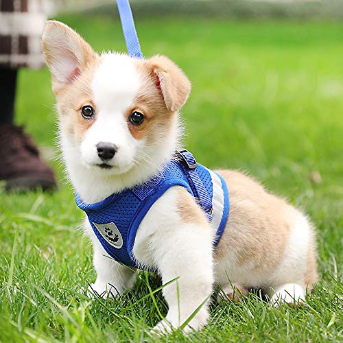 WINS Dog harness small medium dog no pull dog walking harness and lead set adjustable padded dog vest harness with leash with reflective straps M (chest girth-35-40cm) Red - PawsPlanet Australia