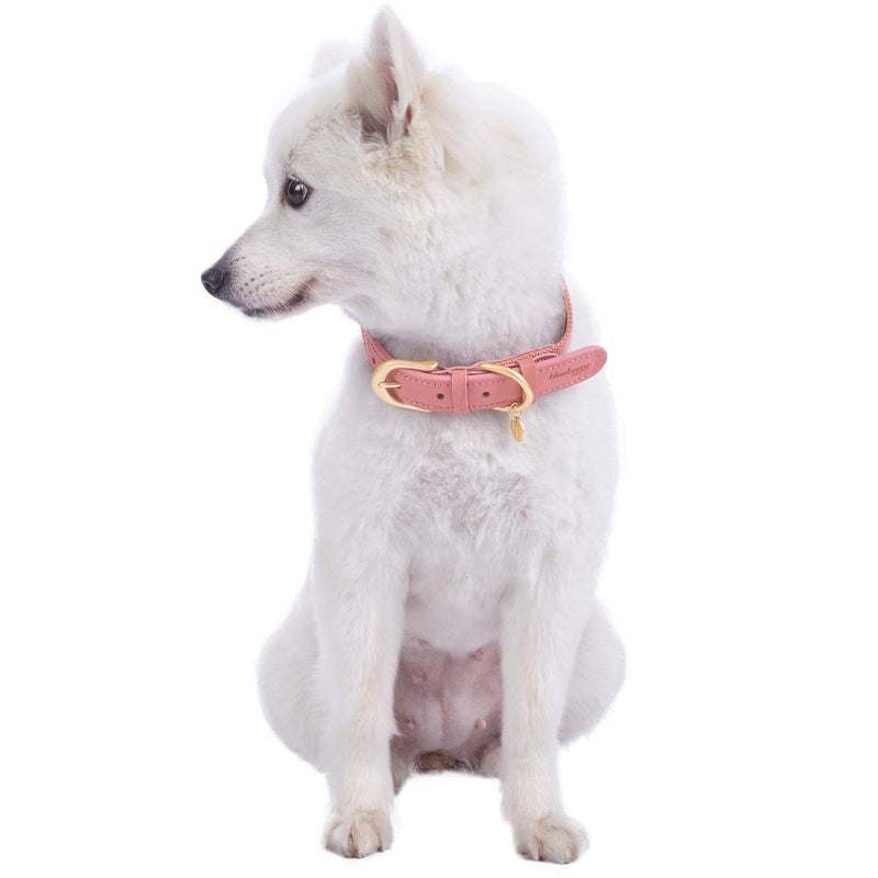 [Australia] - Blueberry Pet 11 Patterns Vintage Polyester Webbing & Genuine Leather Combo Dog Collars Leashes Collar - 1" Wide * (18"-22") Neck Pink & Grey 