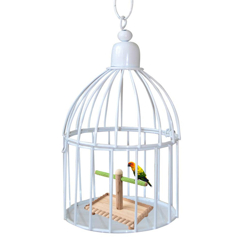 [Australia] - kathson Bird Tabletop Perch, Parrot Cage Stands Training Play Gym Playground Table Top for Parakeets Lovebirds Budgies 