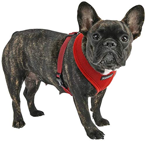 Puppia Dog Harness small dog and medium dog harness - Super soft and comfortable in many colours - Also usable as Puppy Harness - Anti Pull Dog Lead, Wine Red, S - PawsPlanet Australia