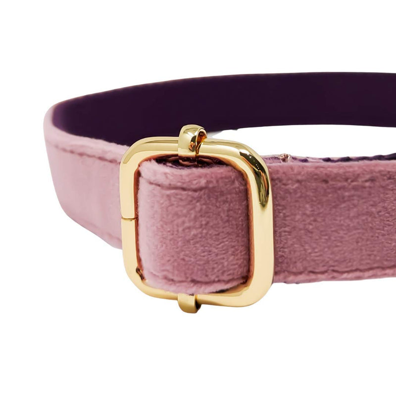 Animal Outfitters UK Velvet Collection Vegan | Pink and Gold Dog | Puppy Collar | Adjustable for Small or Large Dogs (X-Small) X-Small - PawsPlanet Australia