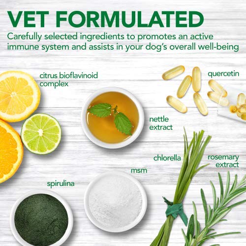 Vet's Best Immune Support Dog Supplement Promotes Healthy Immune System & Seasonal Allergy Relief (60 Tablets) - PawsPlanet Australia