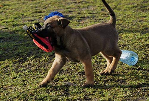 DINGO GEAR Mini Bite Pillow Handmade Wedge with 3 Handles for Dog Bite Training Very Soft Nylcot, Red S00524 - PawsPlanet Australia