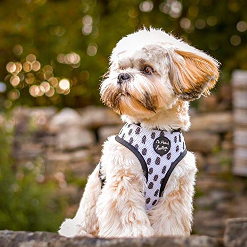 Pet Pooch Boutique 101 Polka Dotty Abstract Reversible Dog Harness, Large, 0.2 kg - PawsPlanet Australia