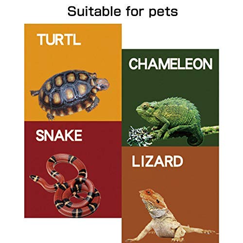 Creation Core Lizard Hideout Ceramic Branch Shape Snake Climbing Decor Reptile Habitat Decorations Aquarium Platform Hideouts Fish Shelter Hide Caves Cavity - PawsPlanet Australia