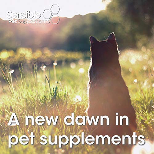 Sensible Pet Supplements 'Bladder' for cats. Containing N-Acetyl D Glucosamine, L-Tryptophan and L-Theanine. 100 sprinkle capsules - PawsPlanet Australia