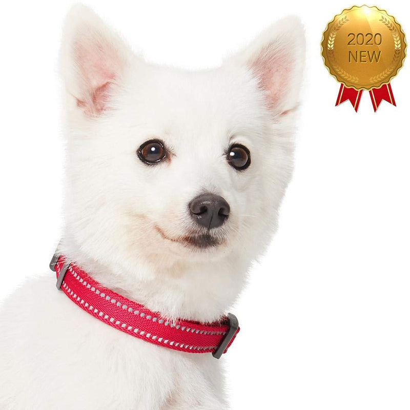 Umi. Essential Pastel Color Reflective Dog Collar in Very Berry, Small, Neck 30cm-40cm, Adjustable Collars for Dogs - PawsPlanet Australia