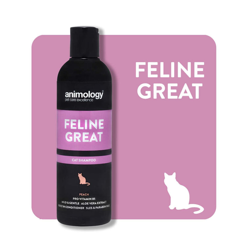 Animology Feline Great Cat Shampoo - For clean and healthy fur - 250 ml cat shampoo with peach scent - Skin-friendly, innovative formula - Mild and gentle cat care shampoo Pack of 2 250 ml (Pack of 2) - PawsPlanet Australia