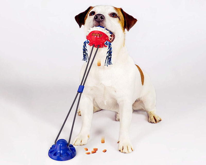 Dog Toys for Chewers ,Chew Suction Cup Tug of War Toy，New Edition,Teeth Cleaning and Food Dispensing Features，Withstand Tension 120LB,Free Floor Stickers,Suitable for Small and Medium-Sized Dogs - PawsPlanet Australia