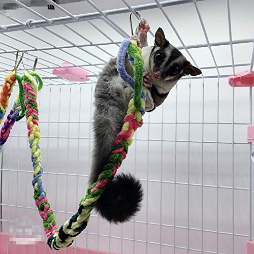 RIOUSSI Handmade Sugar Glider Toys for Climbing/Exercising/Jungle Exploration, Hanging Toy Cage Accessories, Rat Toys, Bird Rope Perch Swing Toy 23" Lengh Random - 4 Pack - PawsPlanet Australia