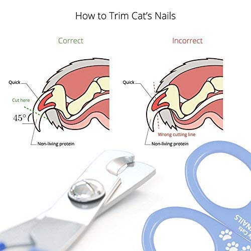 Cat Nail Clippers - Designed by Vets - Pet Nail Cutter For Rabbits, Guinea Pigs and Ferrets Single - PawsPlanet Australia