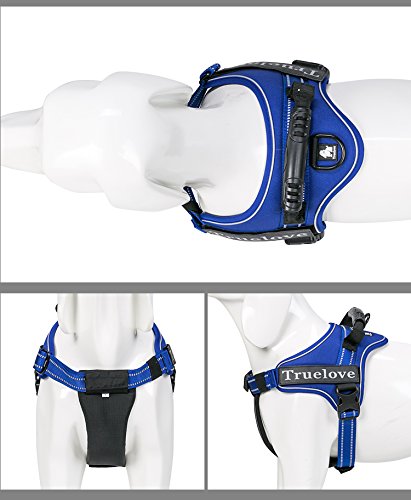 [Australia] - TRUE LOVE Truelove Dog Harness No-Pull Reflective Stitching Ensure Night Visibility, Outdoor Adventure Big Dog Harness Perfect Match Puppy Vest TLH5753 Now Available in 6 Colors 6 Sizes XS Royal Blue 