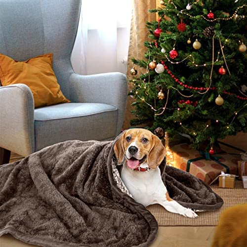 Waterproof Dog Blanket Soft Warm Fluffy Pet Blanket Reversible Sherpa Lightweight Throw Blanket for Dog & Cat Chocolate 32"x24" - PawsPlanet Australia