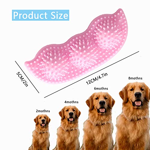 SHONCO 3PCS Dog Puppy Chew Toys Set,Dog Teething Chewing Toys for Small Dogs Teeth Clean Toy,Dog Teeth exercise,Toy Dog Gift - PawsPlanet Australia