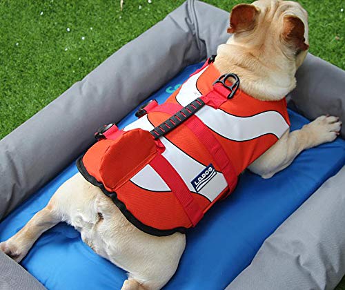 Hifrenchies Dog Life Jacket Shark Swimming Vest Pet Safety Swimsuit Floatation Life Vest for French Bulldog (M, Clown Fish) M - PawsPlanet Australia