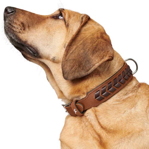 HUNTER 68555 EL Paso Collar, 149 g S-M Cognac/Black - PawsPlanet Australia