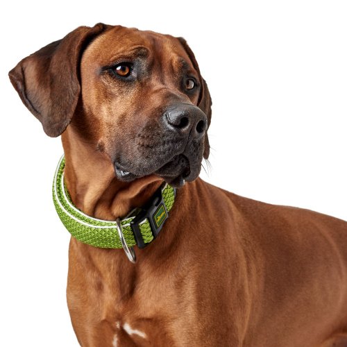 Hunter - Hilo Collar Vario Plus Neck 40-60cm L Lima Lime Large - PawsPlanet Australia