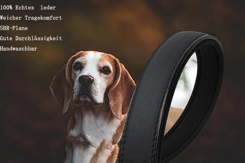 XCZAP Leather Collar for Large Medium Small Dogs Leather Lined Heavy Duty Exquisite Durable Adjustable with Built-in Pull (Small, Iron) Small - PawsPlanet Australia
