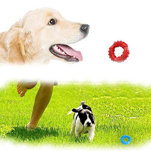 CHSG 3pk Dog Toys Chew Toy for Large Dog, Dog Teething Toys, Teeth Cleaning, 100% Natural Rubber, Non-Toxic, Durable & Washable Rubber Ring Dog Toys for Boredom Dog Toys Red & Orange & Blue - PawsPlanet Australia