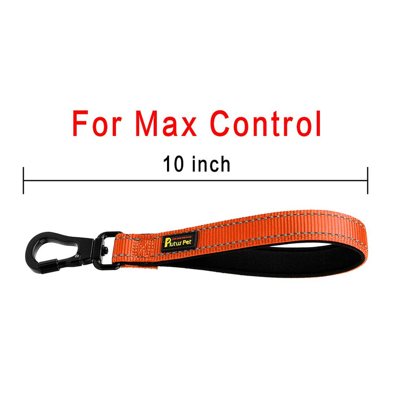 PLUTUS PET Strong Training Dog Lead with Rock Climing Carabiner Clip, Relective Nylon Dog leash Padded Handle, Training Lead for Large and Medium Dogs(25cm,Orange) 25cm Orange - PawsPlanet Australia