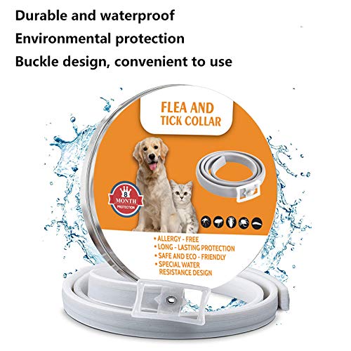 Flea and Tick Collar for Dogs and Cats, Flea Treatment for Puppy Kitten, Adjustable Size, Waterproof Natural Safe, 8 Months Protection,1 Pack (Small) Small - PawsPlanet Australia
