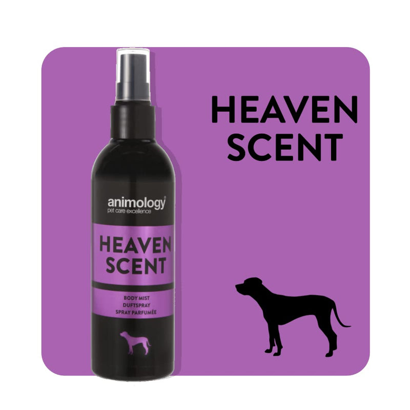 ANIMOLOGY Heaven Scent Body Mist – 150ml Deodorised Spray for Female Dogs – Enhancing Delicate Scent – With Feminine and Floral Fragrances – Long Lasting Notes of Neroli and Peony 150 ml (Pack of 1) - PawsPlanet Australia