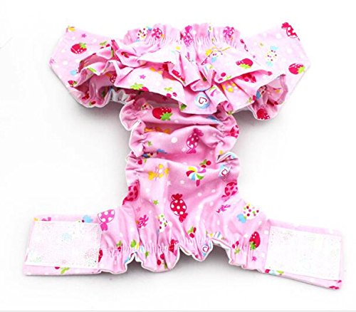 [Australia] - Dogs Kingdom 3Pcs Nice Dog Small Floral Diaper Skirt Female Girl Sanitary Pant Dress Underwear For Small Dogs Breed M Random-3pcs 