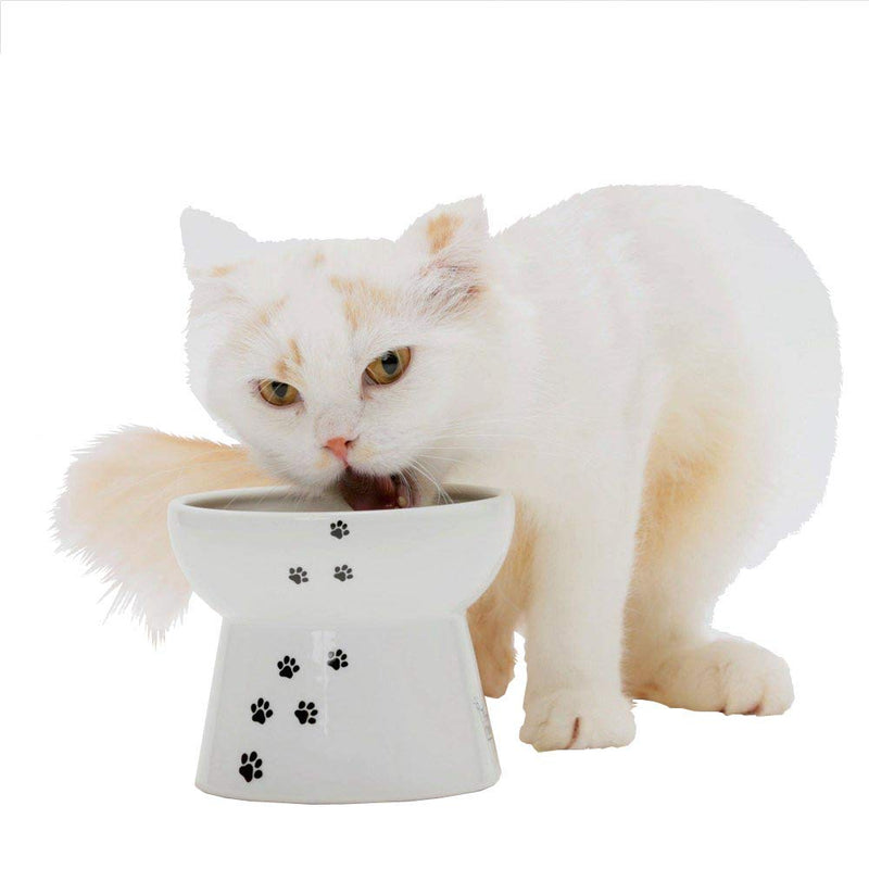 [Australia] - Necoichi Raised Cat Food Bowl Large, Cat, 0.436 kg 