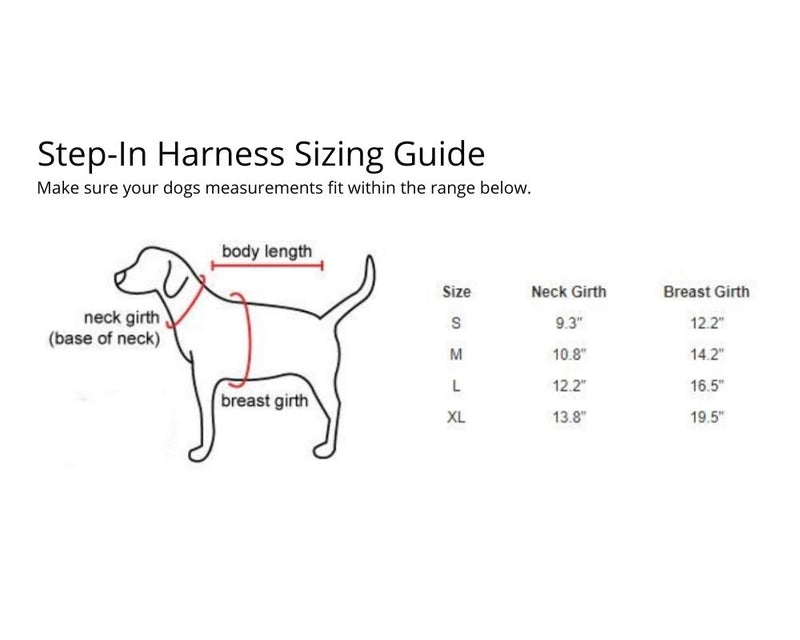 [Australia] - QTpawz French Bull Dog Step in Harness - Easy On Design with Velcro - Perfect for Frenchie Puppies or Smaller Sized French Bull Dogs and Frenchtons Large 