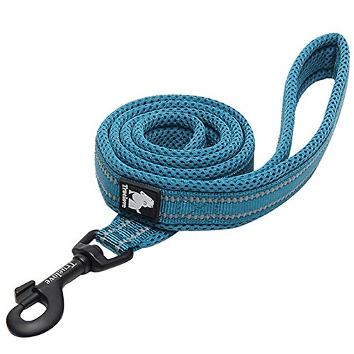 [Australia] - Creation Core Reflective Nylon Dog Collar and Training Leash Set for All Season Padded Durable Adjustable L(17.7-19.7") Blue 