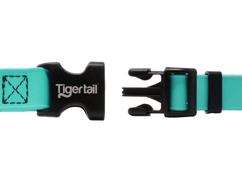 [Australia] - Tiger Tail Urban Nomad Dog Collar – Lightweight Waterproof & Odor Proof Dog Collar Medium (14" - 22") Teal 