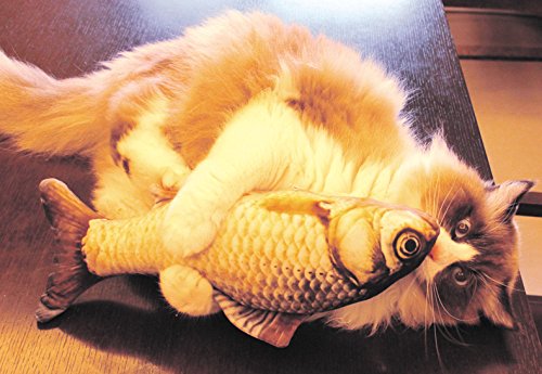 [Australia] - Duona Catnip Toys 5 Pack -Cotton Plush Pillow Chew Bite Play Fetch Toy Simulation Fish Shape Realistic Fluffy Catnip Doll Interactive Pets Pillow Chew Bite Supplies for Cat Kitten Kitty 