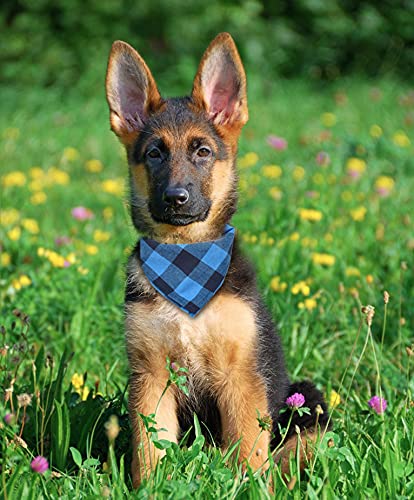 Bubblepup Plaid Dog Bandana, Cotton Dog Bandana for Small Medium Large Dogs, Dog Kerchief, 1PC Square Dog Scarf Dog Triangle Bibs Blue&Black - PawsPlanet Australia