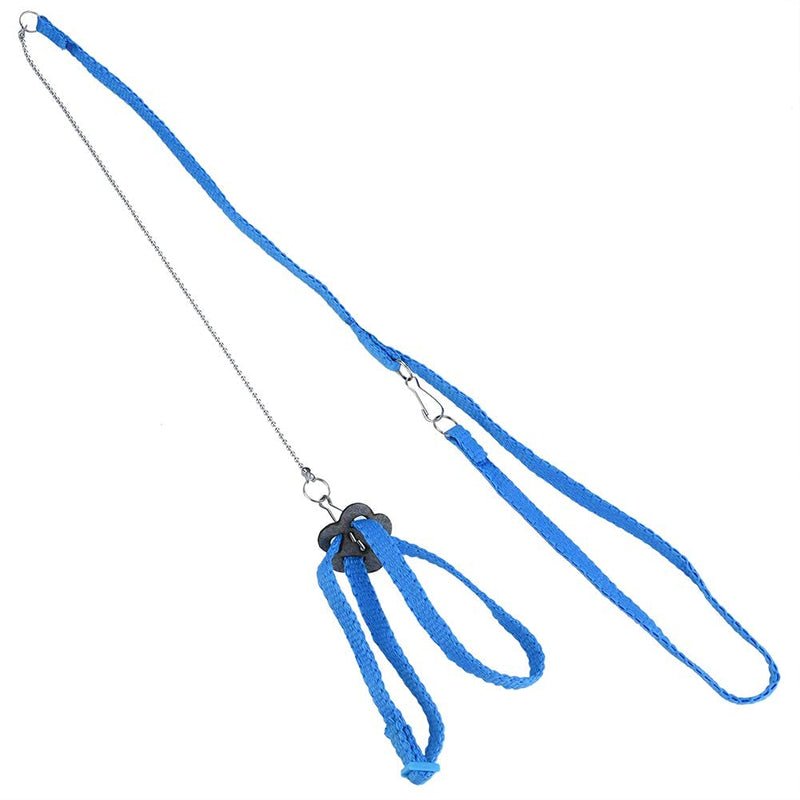 Adjustable Bird Harness Leash Soft Parrot Intelligence Training Rings Toy for Budgie Parakeet Lovebird Finch Macaw African Grey Cockatoo Playing Training(Blue) Blue - PawsPlanet Australia