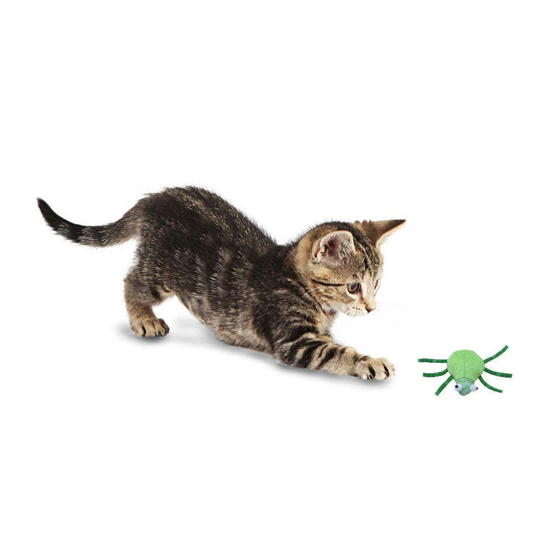 [Australia] - ipaws 6" Stuffed Spider Plush Catnip Cat Toy Green 