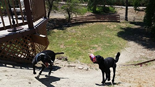 HurriK9 Flying Ring Launcher | Quickly Exercises Your Dog | Dog Toy Launcher w/ Spandex Foam Rings 3 Extra Tough Launcher Rings - PawsPlanet Australia