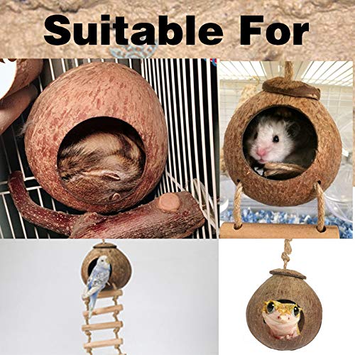 Hamiledyi Gecko Coco Den 2 pcs, Natural Reptile Hideouts Mini Condo for Lizards, Coconut Texture Provide Food for Pets, Raw Coconut Husk Hide with Ladder, Durable Cave Habitat with Hanging Loop - PawsPlanet Australia