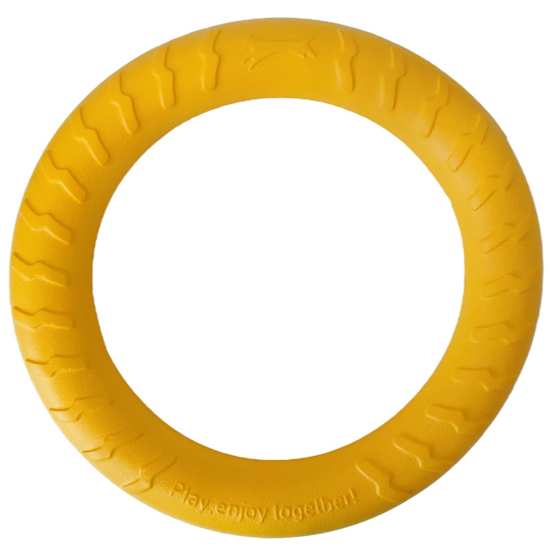 Ultra Durable Chew Dog Frisbee Training Ring Water Floating Outdoor Fitness Flying Discs Interactive Dog Toys for Small Medium Large Dogs 12 Inch - PawsPlanet Australia