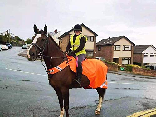 Gee Tac Hi Viz Waterproof Exercise Sheet Cotton Lined PONY - PawsPlanet Australia